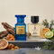 Tom Ford Costa Azzurra Inspired Perfume