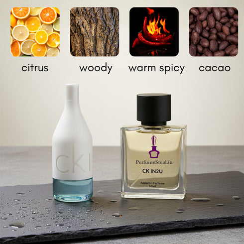 CK IN2U for Him by Kalvin Klein type Perfume