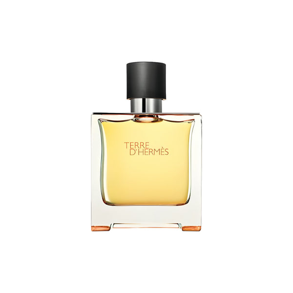 Hermes Terre D'Hermes type Perfume