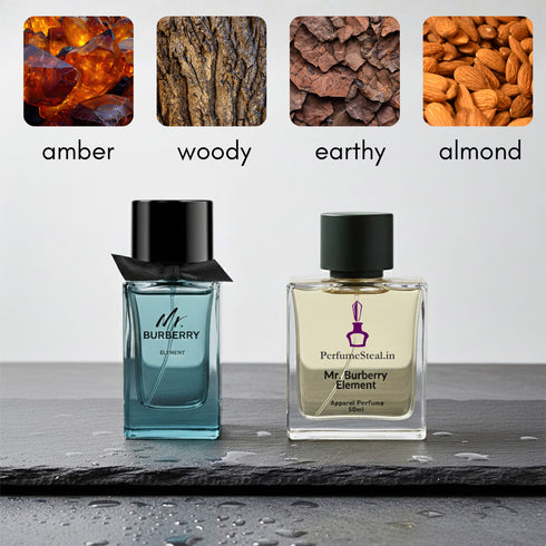 Mr Burberri Element for men type Perfume