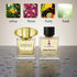 Versace Yelllow Diamonds Inspired Perfume