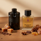 Most Wanted by Azzaro for men Inspired Perfume