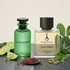 Cactus Garden by Louis Vuitton Inspired Perfume