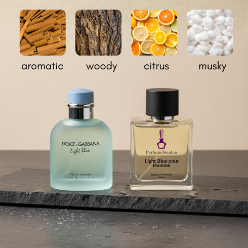 Light Blue Pour Homme by Doelce and Gaebbana Inspired Perfume