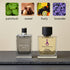 Jimmy Choo Man Inspired Perfume