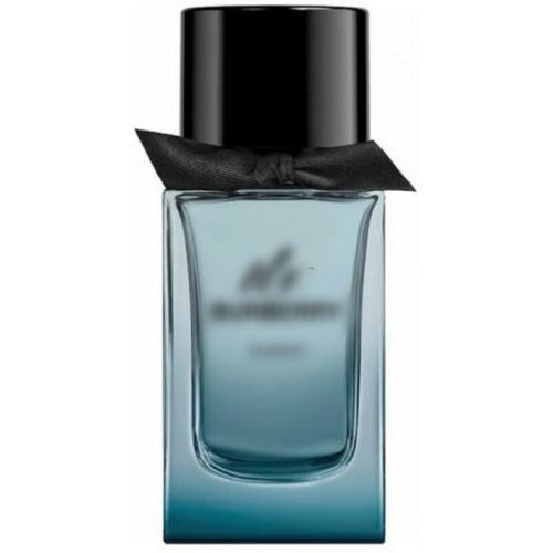 Mr Burberri Element Burberri for men type Perfume