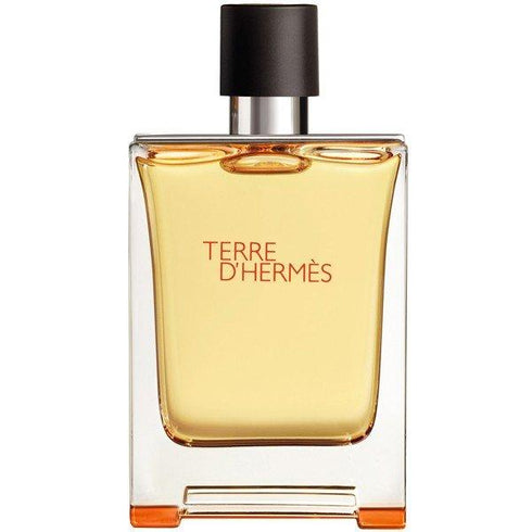 Hermes Terre D'Hermes type Perfume